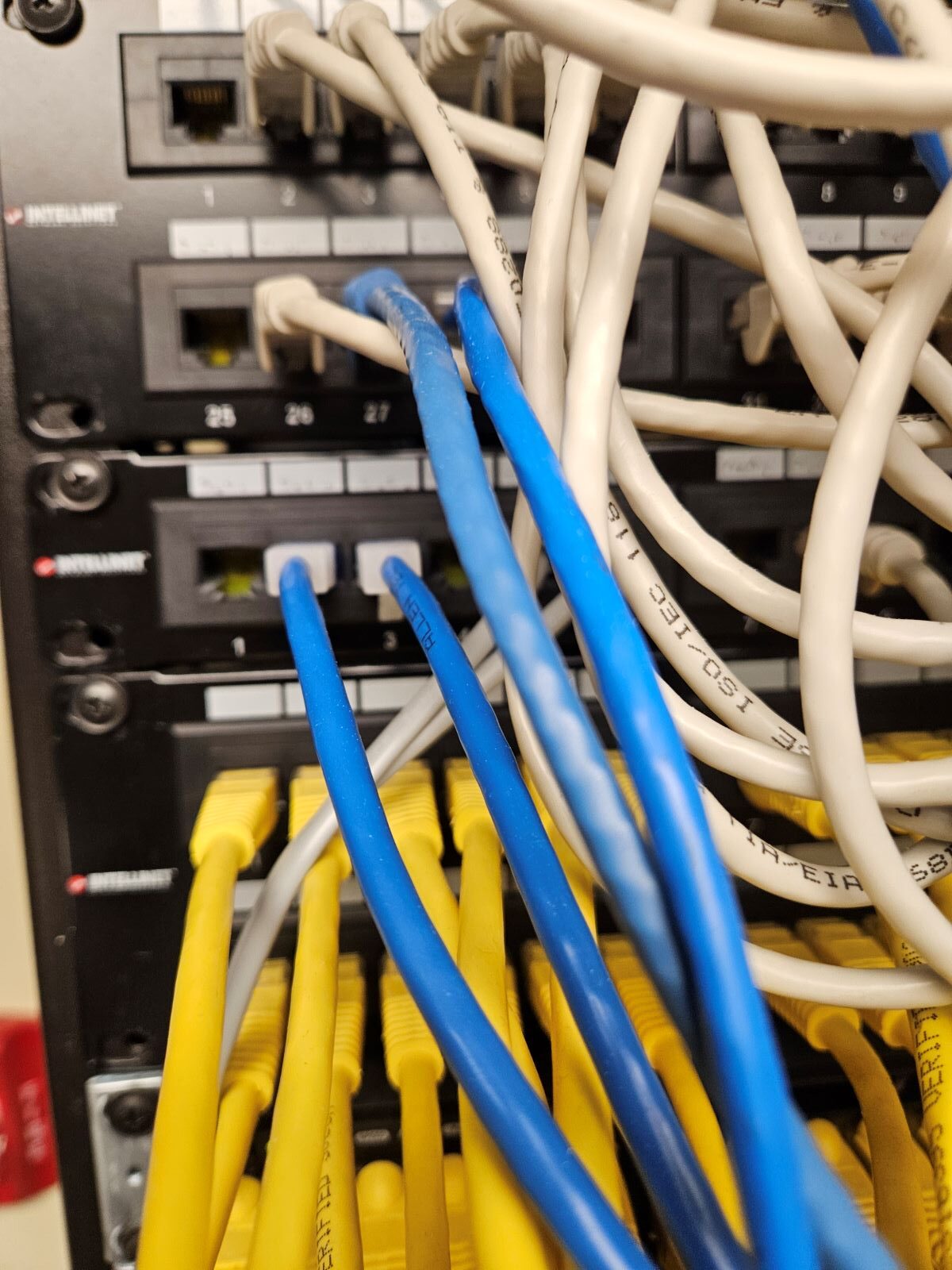 This image shows a close-up view of numerous network cables plugged into network equipment.